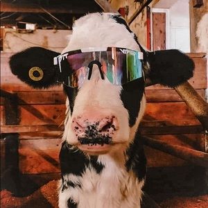 Meet your Posher, Ella